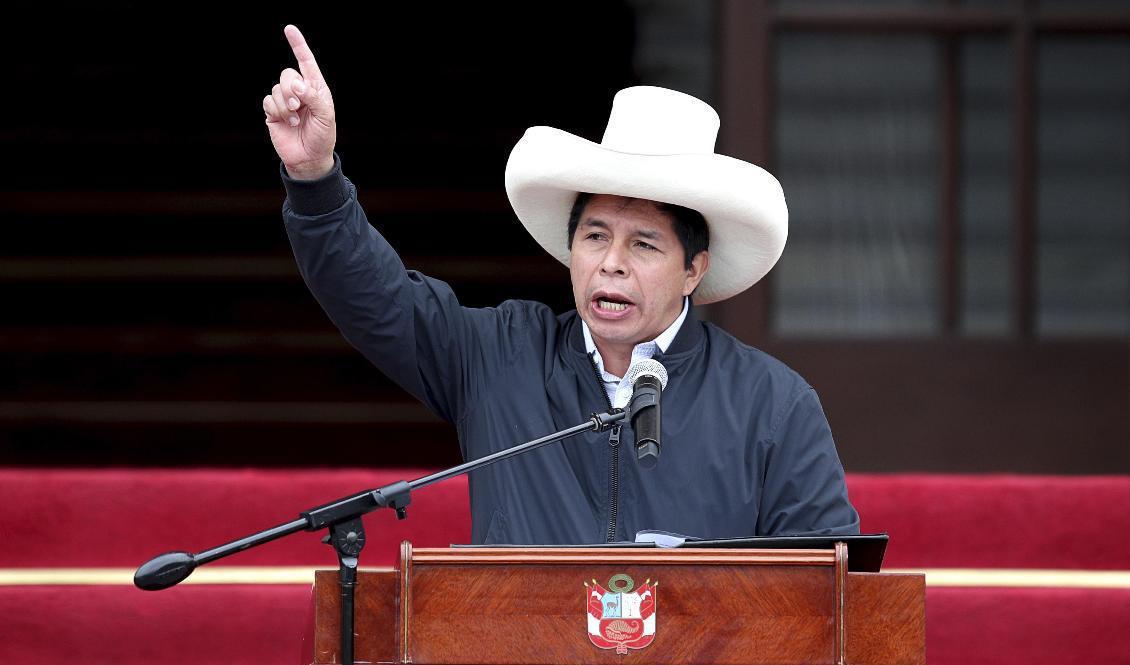 Perus president Pedro Castillo. Arkivbild. Foto: Guadalupe Pardo/AP/TT