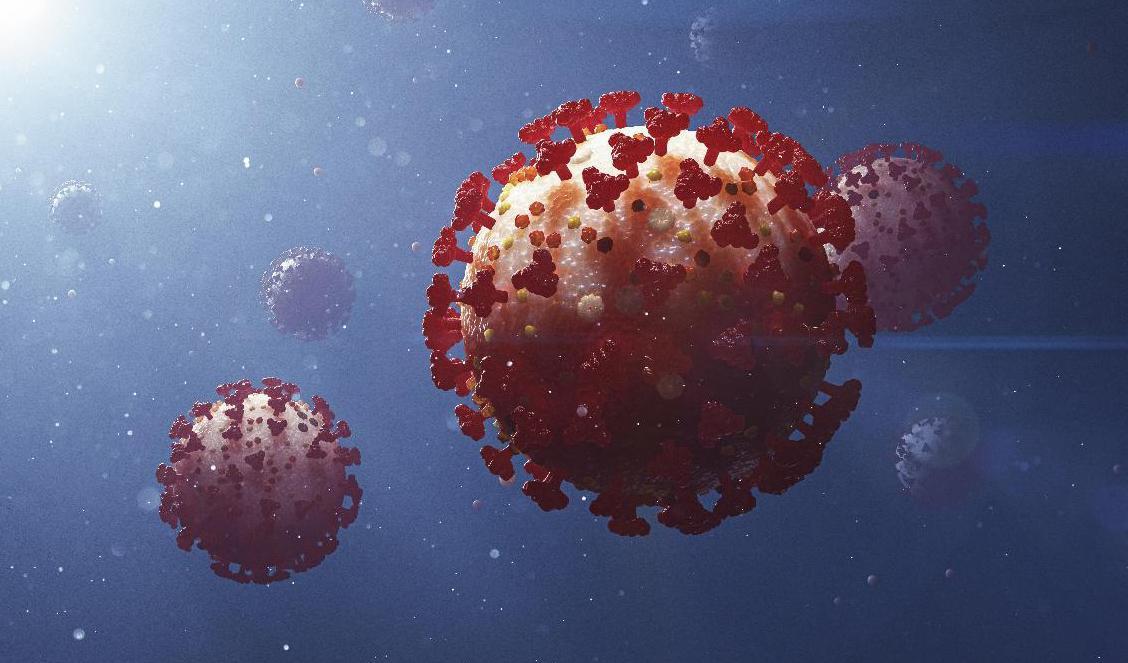 


En ny variant av coronaviruset har upptäckts i södra Afrika. Variantens stora antal mutationer oroar experter runtom i världen. Foto: Arkivbild Stefan Hörberg/Rithuset AB                                                                                                                                    
