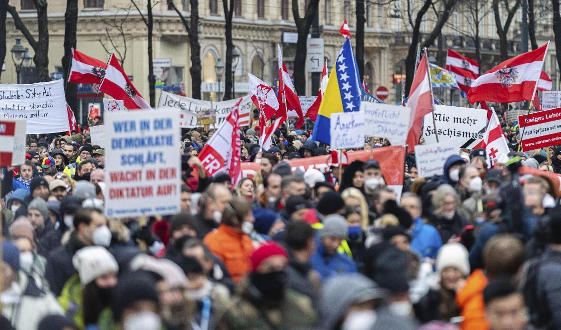 
Tiotusentals demonstrerade i Wien. Foto: Florian Schrötter/AP/TT                                            