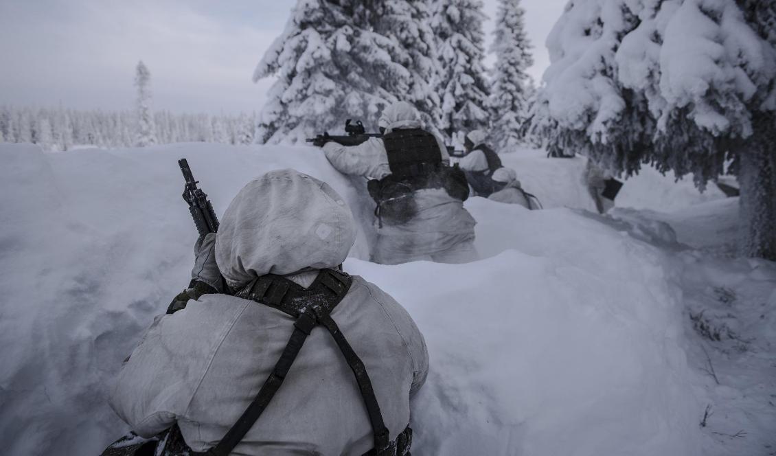 Sverige har stärkt sitt militära beredskapsläge. Foto: Hampus Hagstedt/Försvarsmakten