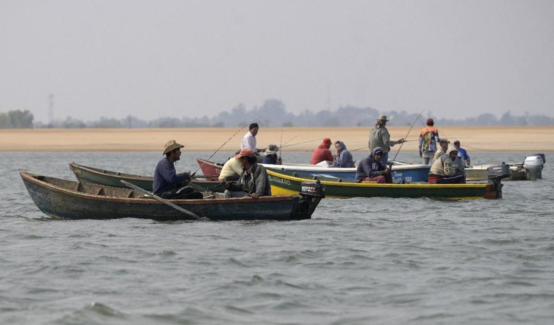 Paraguayanska fiskare på den stora Paranáfloden. Vattennivån i floden är historiskt låg vilket försvårar transporter med stora fraktfartyg. Foto: Juan Mabromata/AFP via Getty Images