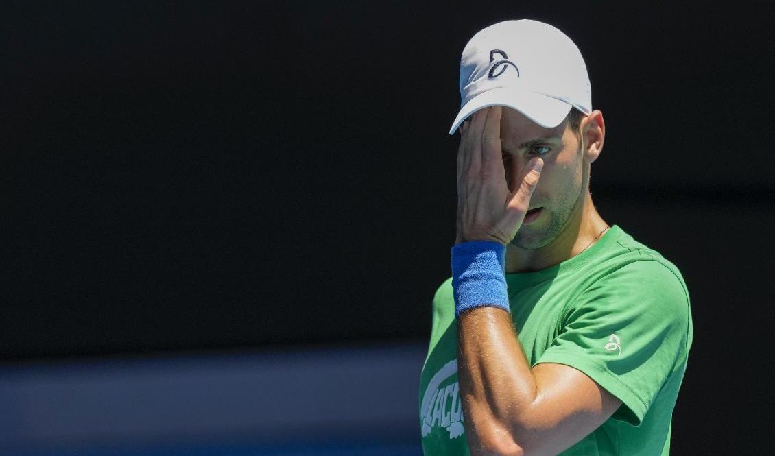Novak Djokovic. Foto: Mark Baker/AP/TT