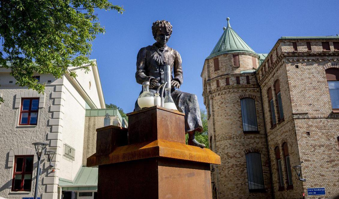 Staty av Sveriges första kvinnliga ingenjör, Vera Sandberg, utanför Chalmers, där många ingenjörer utbildas. Arkivbild. Foto: Adam Ihse/TT