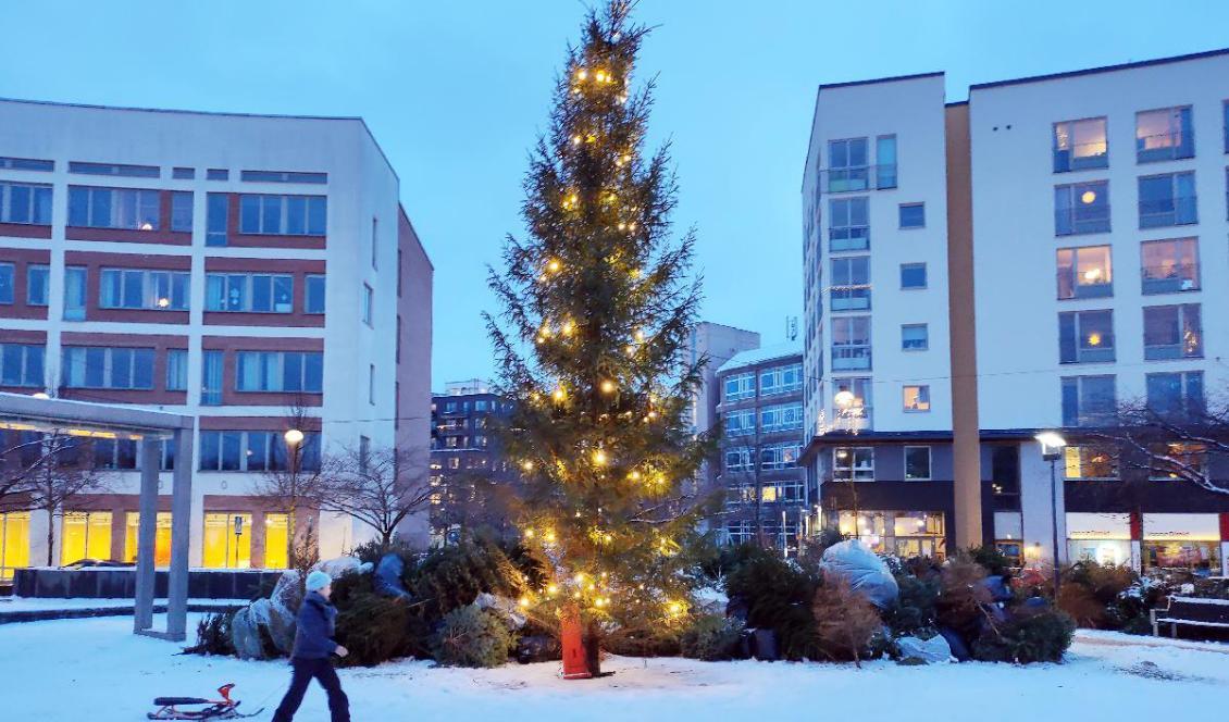 

Julgransinsamling på Lumatorget i Hammarby sjöstad. Foto: Emil Almberg                                                                                        