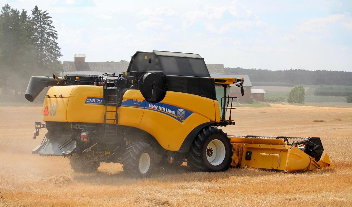 En undersökning visar att många lantbruksföretagare planerar att minska produktionen i år på grund av de ökade priserna på bland annat diesel, el och foder. Foto: Susanne W. Lamm