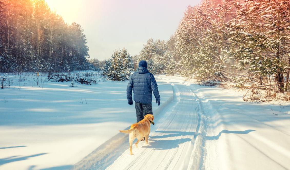 Vi har alla en resa framför oss och en resa bakom oss. Vad behöver vi göra idag för att bli ännu bättre människor i framtiden? Foto; Shutterstock
