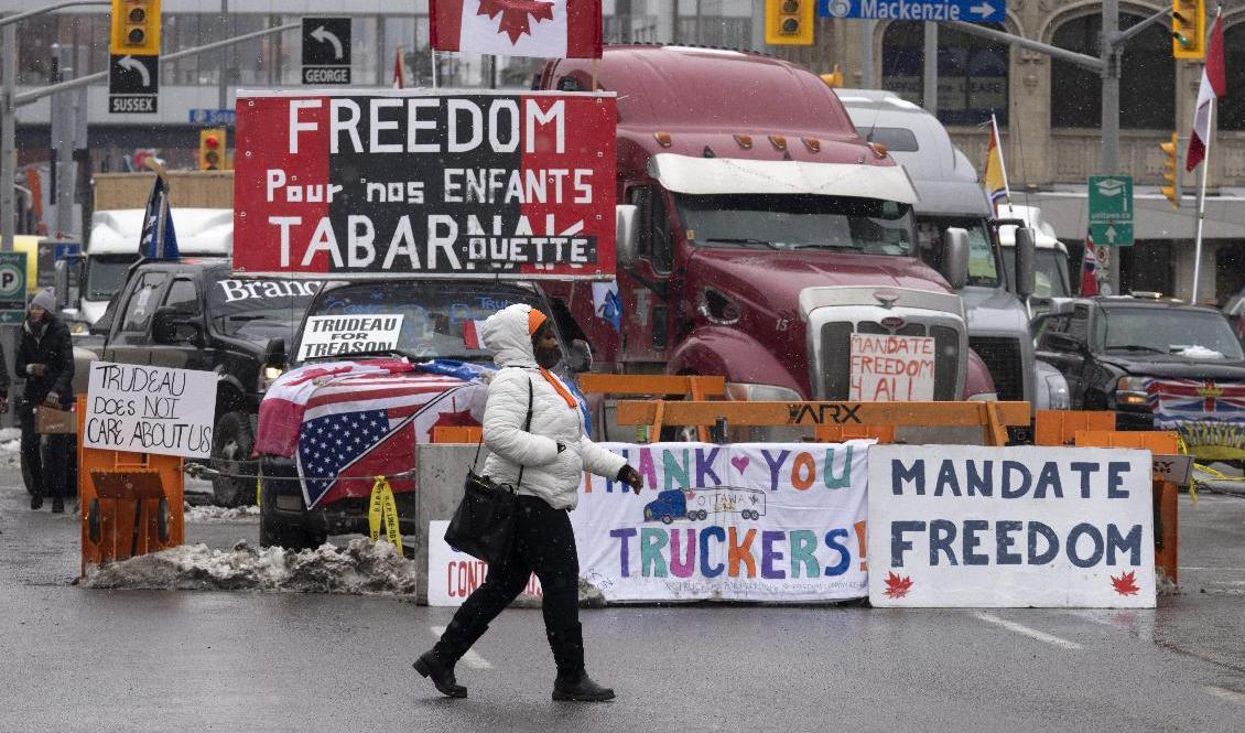 Lastbilar blockerar fortfarande gator i centrala Ottawa. Foto: Adrian Wyld/The Canadian Press/AP/TT