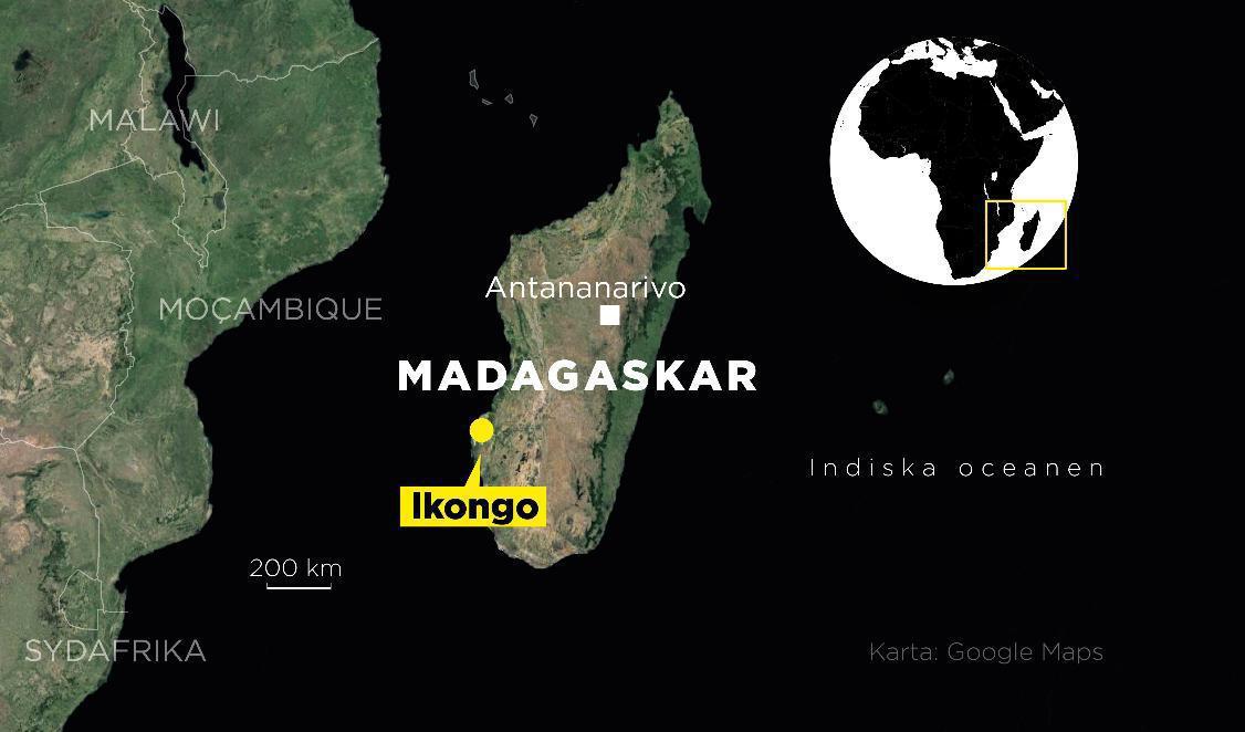 Webbkarta över Madagaskar. Foto: Johan Hallnäs/TT