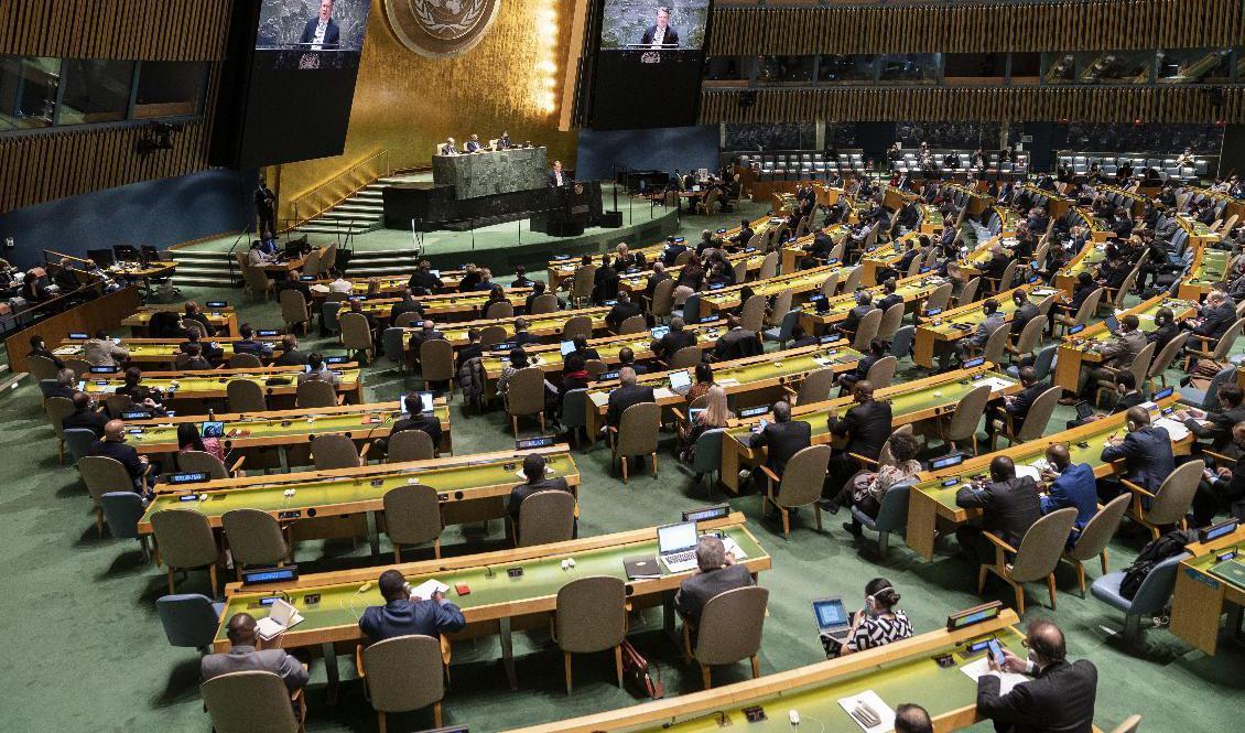 FN:s generalförsamling röstade på onsdagen igenom en resolution om kriget i Ukraina. Foto: Arkivbild John Minchillo/AP/TT