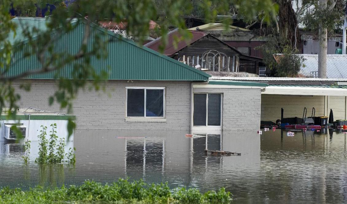 En villa i Londonderry i utkanten av Sydney ligger under vatten. Foto: Rick Rycroft/AP/TT