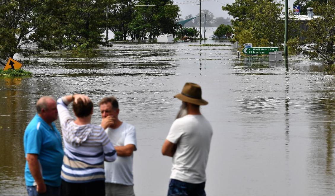 
Invånare står vid en översvämmad gata i staden Lawrence i norra delen av delstaten New South Wales, Australien, den 1 mars 2022. Foto: Saeed Khan/AFP via Getty Images                                            