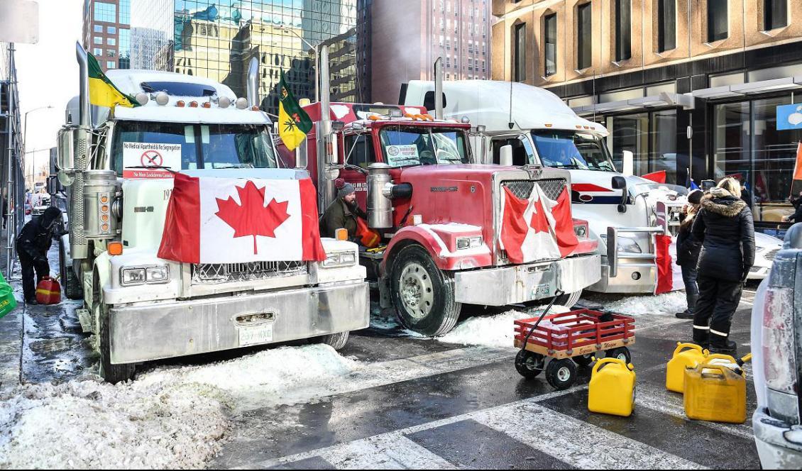 
Förare tankar sina lastbilar i samband med ”Freedom Convoy 2022” den 5 februari 2022 i Ottawa i Kanada. Foto: Minas Panagiotakis/Getty Images                                            
