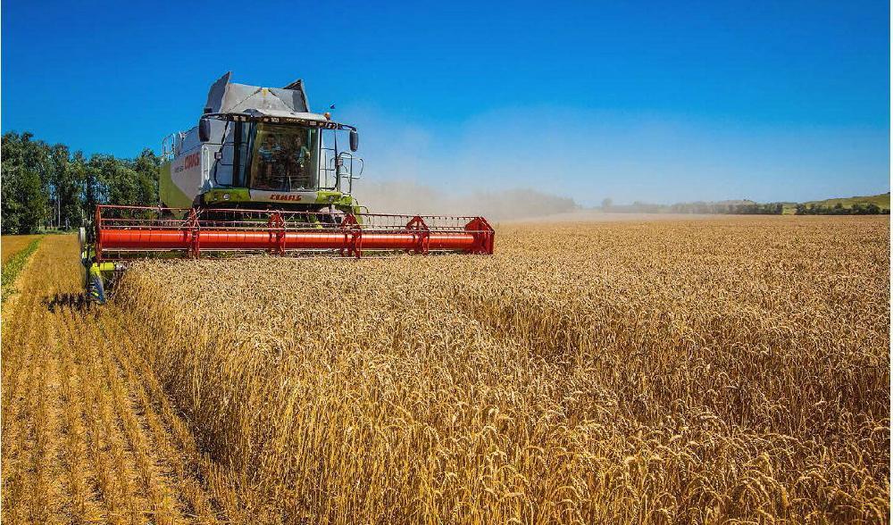 


Ukraina kallades en gång i tiden för Europas kornbod, och 2020 var landet världens femte största exportör av vete. Foto: Inna Sokolovskaya/AFP via Getty Images                                                                                                                                    