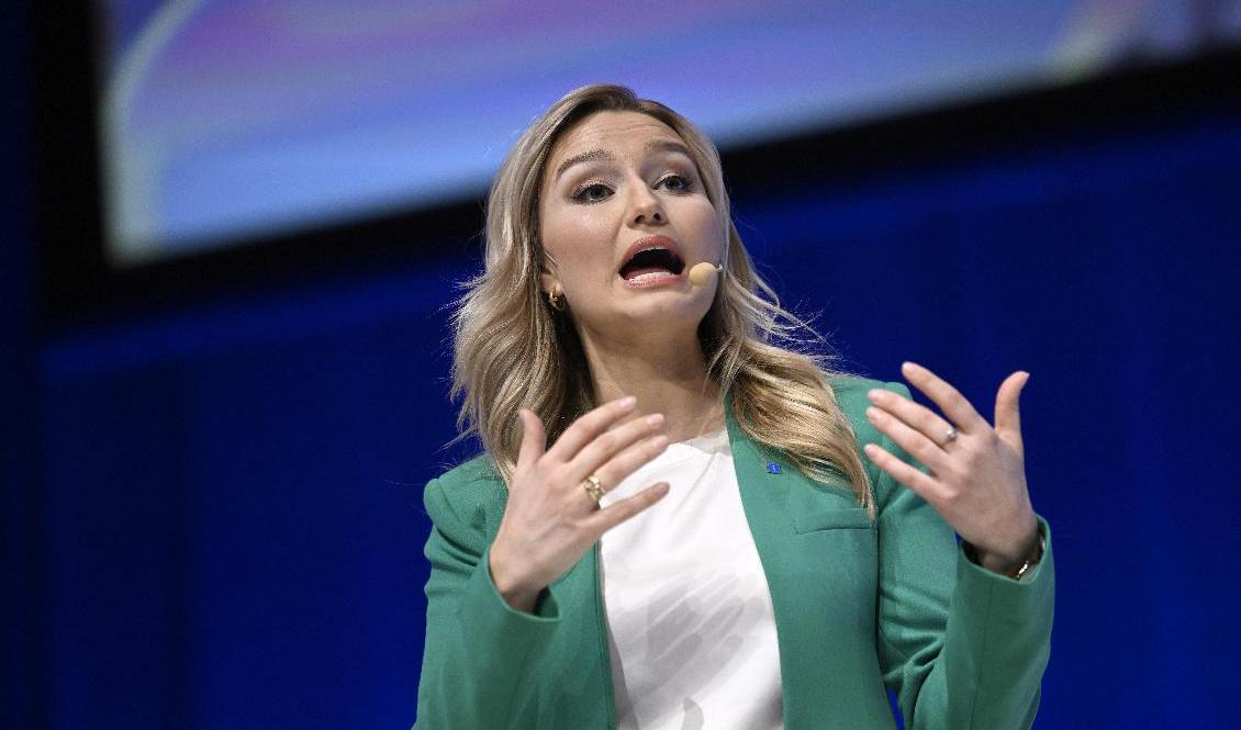 Kristdemokraternas partiledare Ebba Busch (KD). Arkivbild. Foto:  Pontus Lundahl/TT