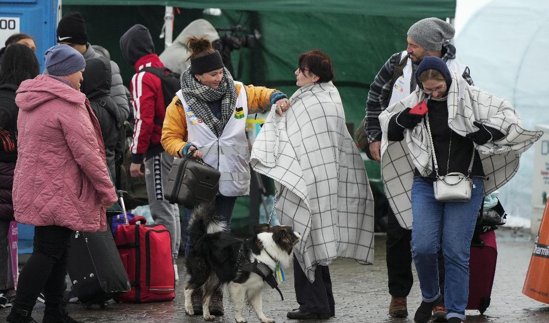 Människor på flykt från Ukraina får filtar i grannlandet Polen på söndagen. Foto: Sergei Grits/AP/TT