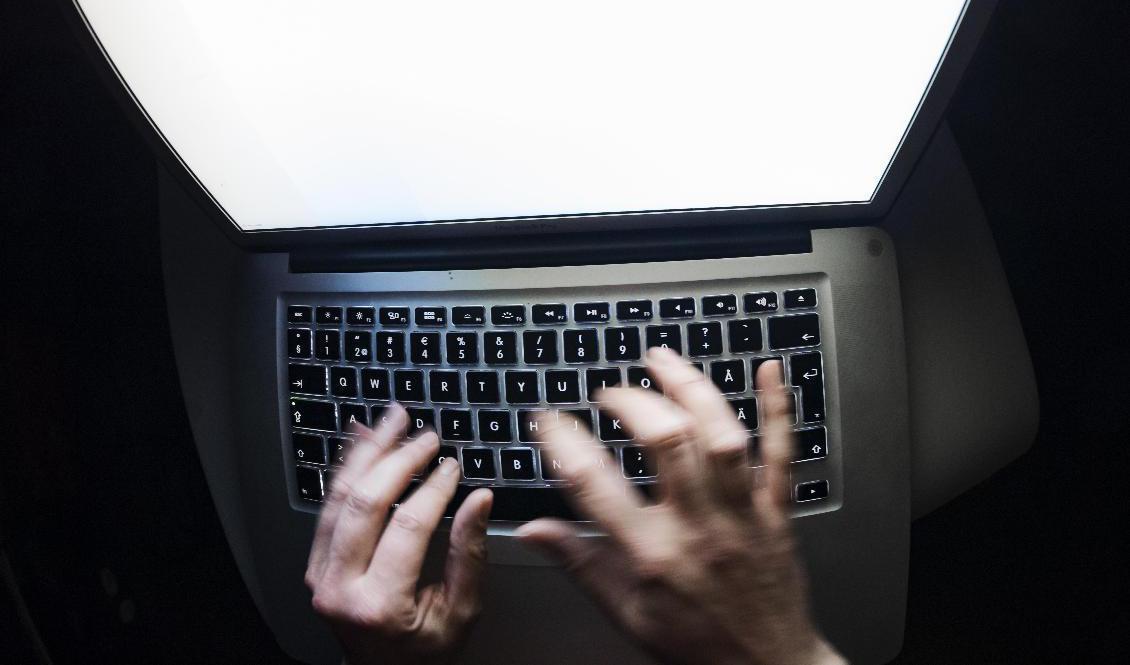 En svensk man är gripen efter ett tillslag mot ett av världens största hackerforum. Arkivbild. Foto: Naina Helén Jåma/TT