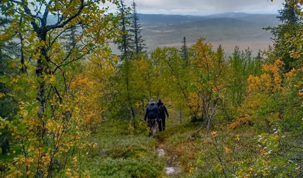 

Att vara ute i naturen var ett viktigt inslag för många svenskar under pandemin. Foto: Bilbo Lantto                                                                                        