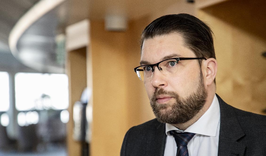 Partiledare Jimmie Åkesson (SD). Arkivbild. Foto: Christine Olsson/TT