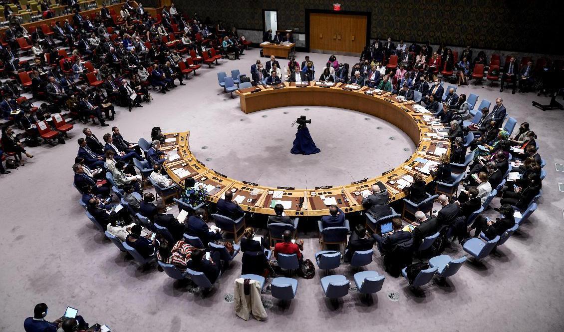 Säkerhetsrådet i FN:s högkvarter i New York. Arkivbild. Foto: John Minchillo/AP/TT