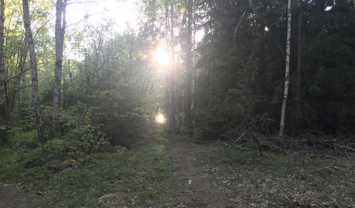 Vid naturens brytpunkter ansågs magiska väsen vara extra aktiva. Det var då på sin plats att både iaktta och lära ut extra försiktighet. Foto: Anton Nilsson