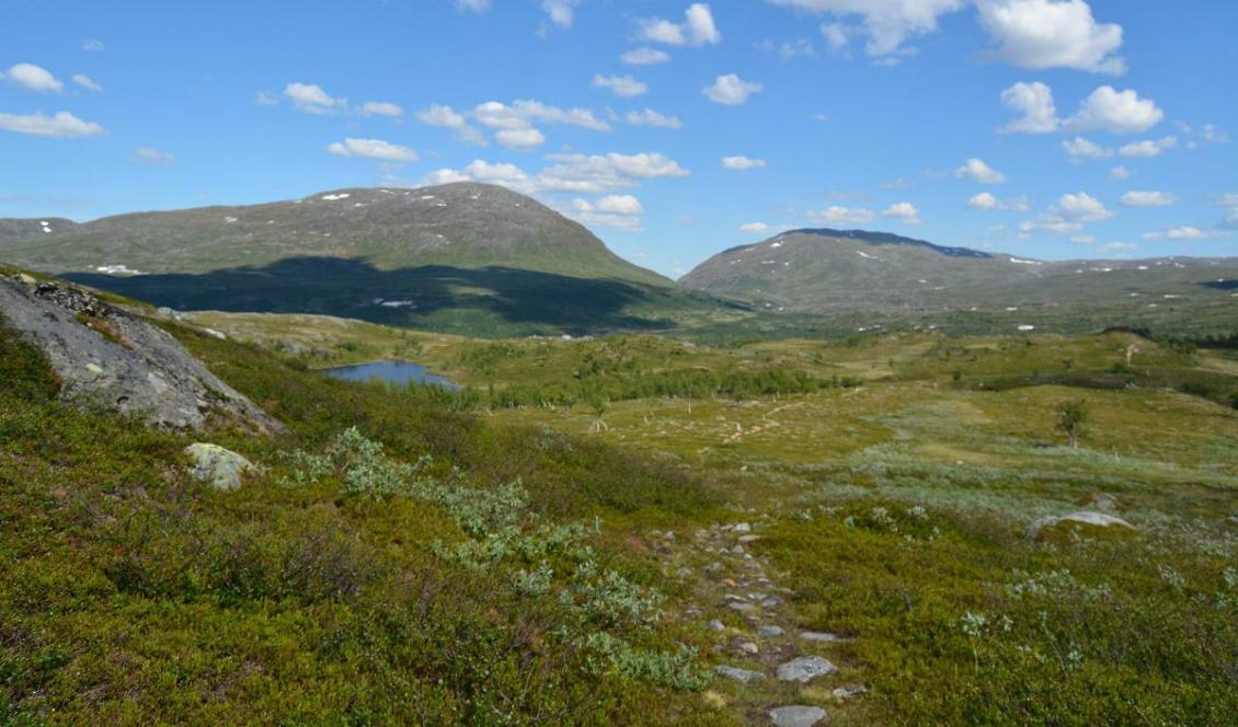 
Förra året fick Sverige 101 nya naturreservat. Foto: Eva Sagerfors                                            