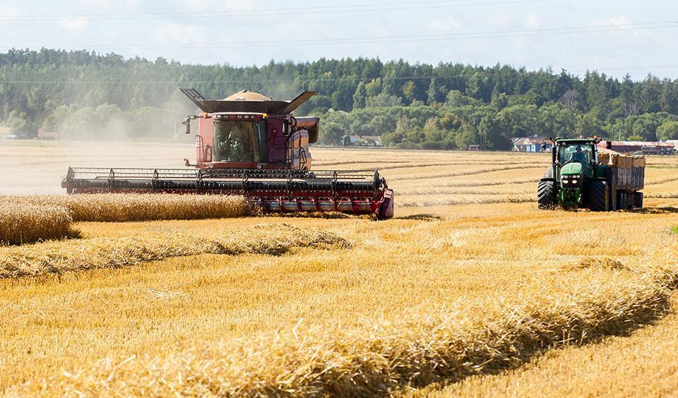 Tillverkare av lantbruksmaskiner behöver ta större hänsyn till risken för markpackning för ett mer hållbart jordbruk anser forskare vid SLU. Foto: Jenny Svennås-Gillner