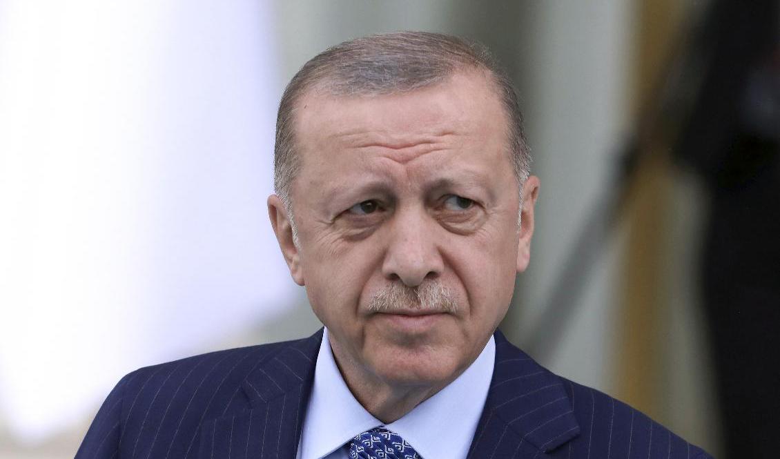 Turkiets president Recep Tayyip Erdogan. Arkivbild. Foto: Burhan Ozbilici/AP/TT
