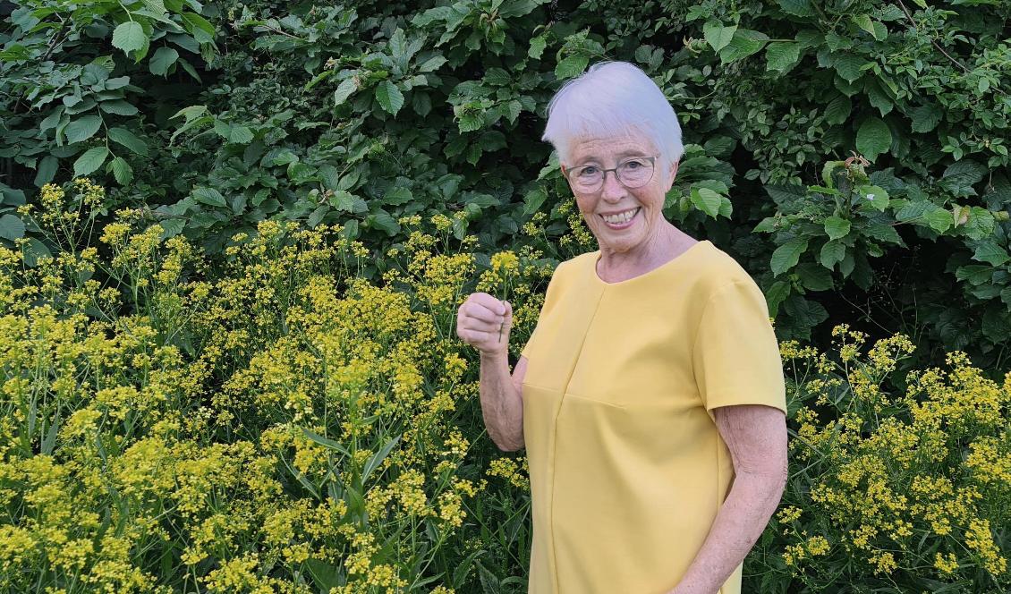 Kerstin Riedel tipsar gärna om hur man kan äta naturens ätliga växter. Här visar hon den rapsliknande ryssgubben, som är ätlig. Foto: Privat