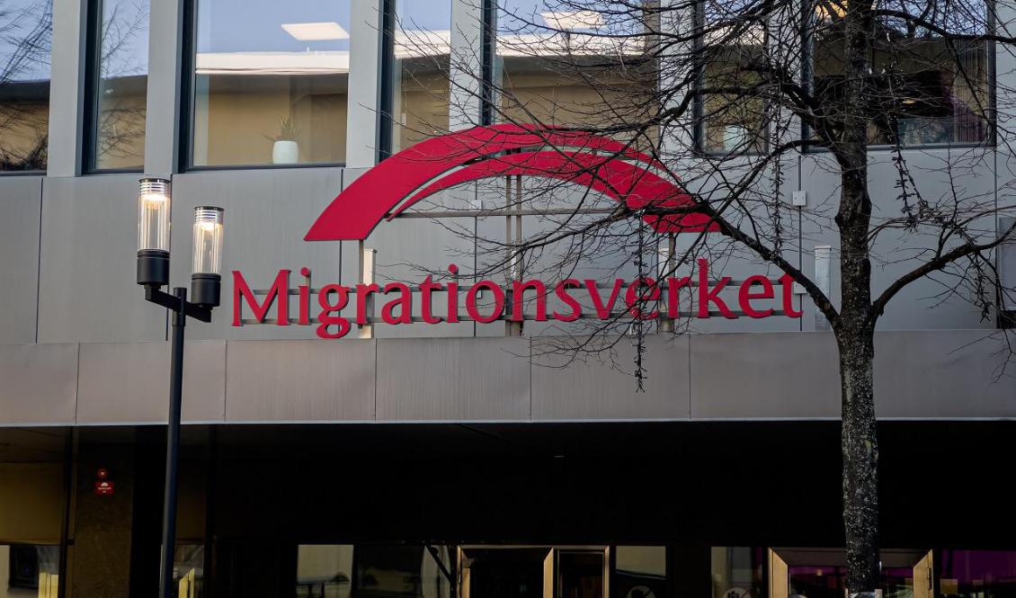 Bara en av tjugo av de nyanlända som fått tillfälligt uppehållstillstånd sedan 2016 har lyckats vända det till ett permanent sådant. Foto: Sofia Drevemo