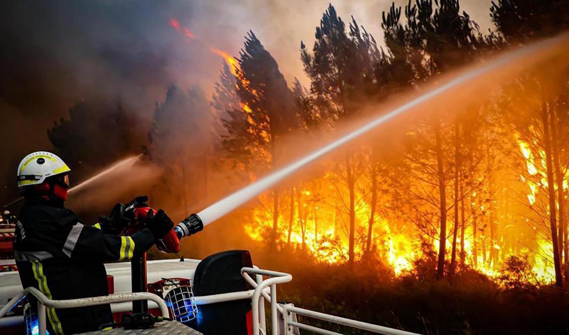 En brandman bekämpar en skogsbrand i trakterna kring Bordeaux i sydvästra Frankrike. Foto: AP/TT