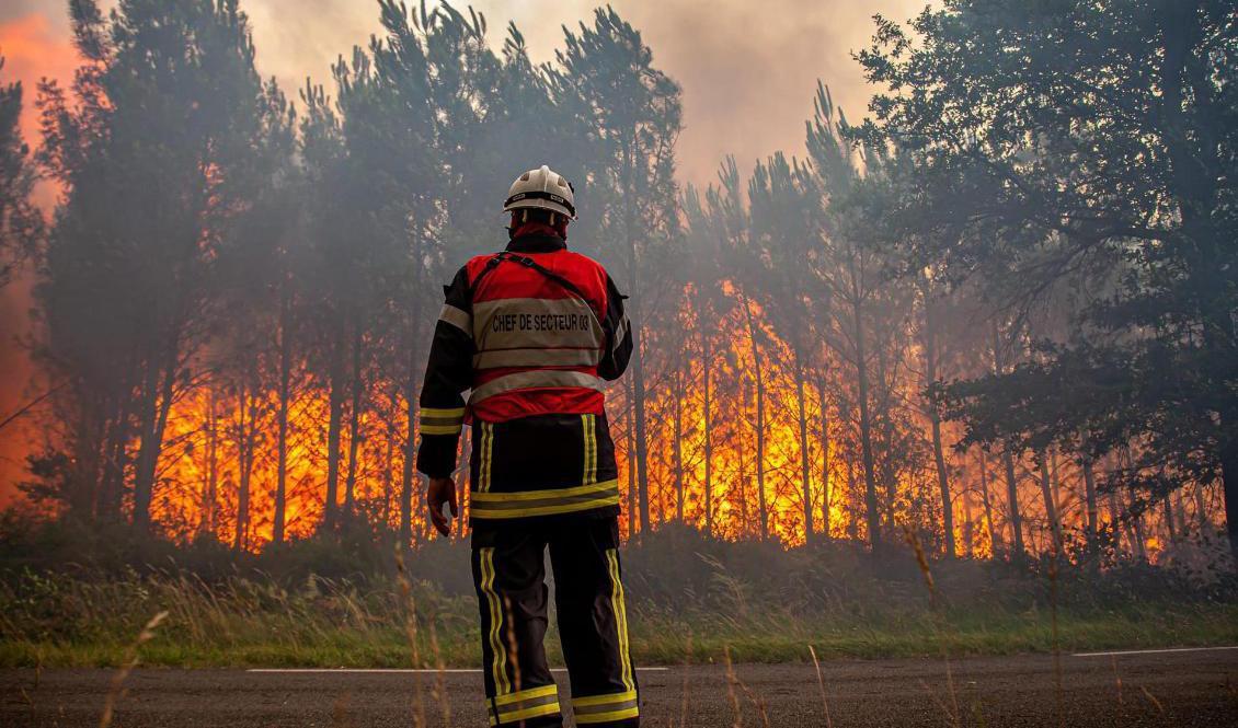 En brandman vid en av bränderna nära Landiras i sydvästra Frankrike. Foto: SDIS 33/AP/TT