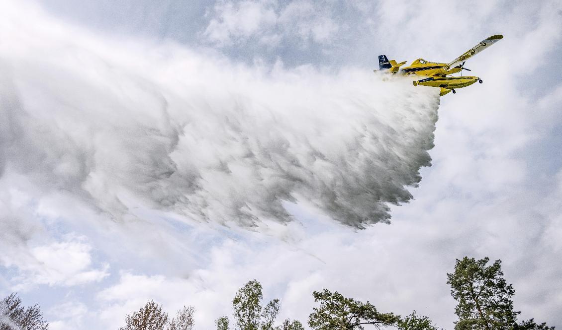 Två vattenskopande flygplan har skickats till Tjeckien för att bekämpa skogsbränder. Foto: Johan Nilsson/TT