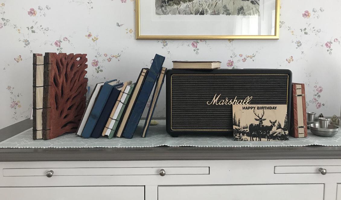 Efter att de har blivit fullskrivna hamnar de på en hylla. Handbundna anteckningsböcker uppnår inte sitt riktiga värde om de inte används. Foto: Anton Nilsson