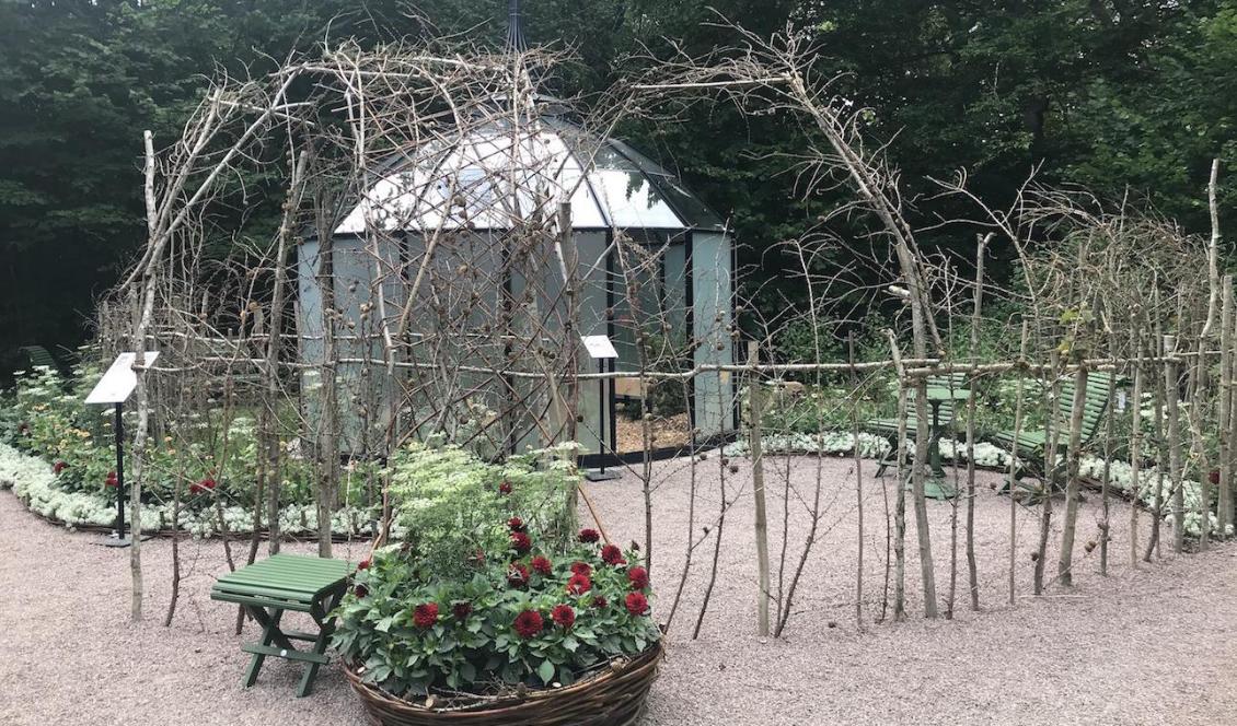 Planteringarna på utsidan är ett minne efter Kajsa Vildängens farmor, medan insidan blir en symbol för hennes farfars kärlek till skogen. Foto: Anton Nilsson