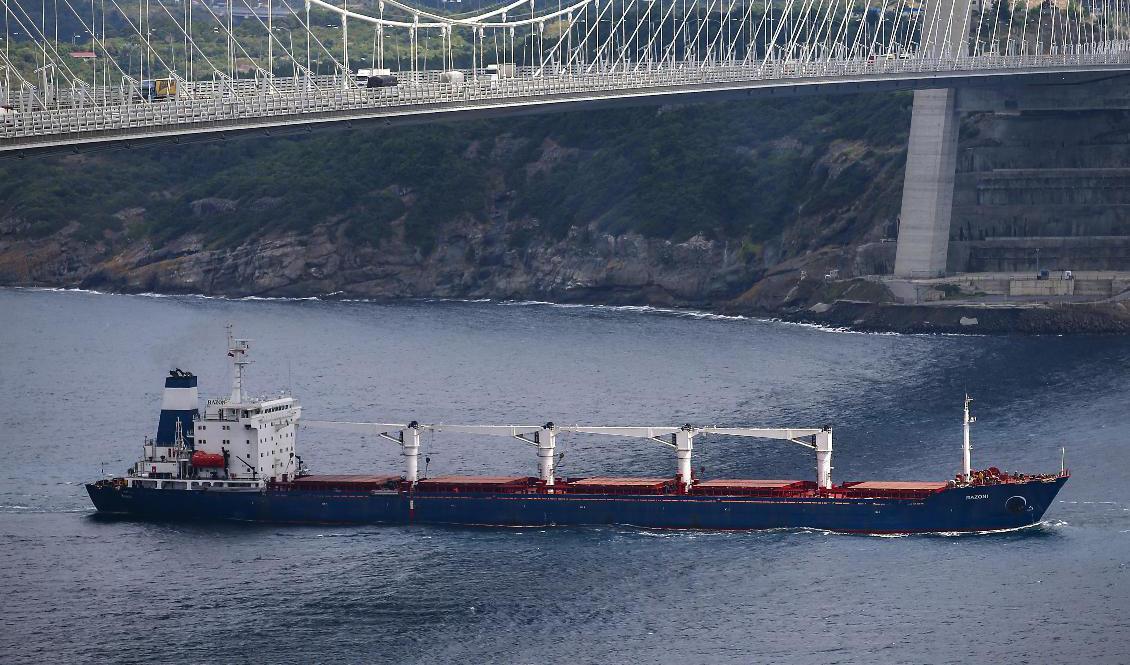 Fartyget Razoni fick segla vidare mot Libanon i onsdags efter att lasten blivit inspekterad och godkänd utanför Istanbul, Turkiet. Foto: Emrah Gurel/AP/TT