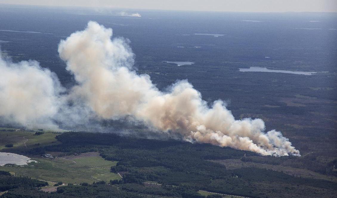 Sverige har alldeles för få brandmän i förhållande till mängden skog, enligt en brandingenjör på MSB. Arkivbild från bränderna i Västmanland 2018. Foto: Peter Krüger/TT