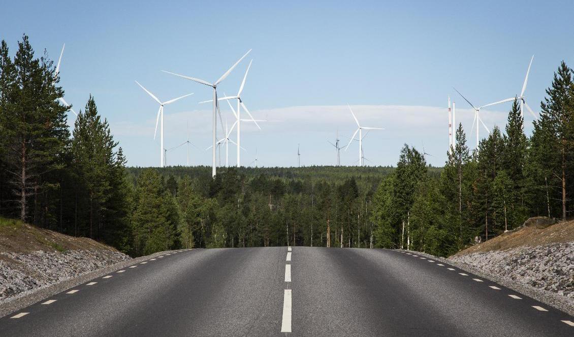Blir det ingen fart på vindkraftverken i höst så finns risken för fortsatt höga elpriser. Arkivbild. Foto: Helena Landstedt/TT