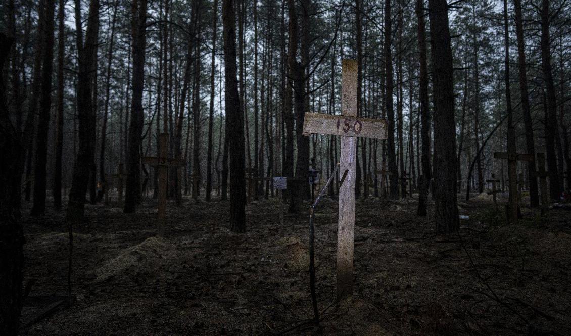 Hundratals gravar uppges ha hittats i närheten av Izium i Ukraina. Foto: Evgeniy Maloletka/AP/TT