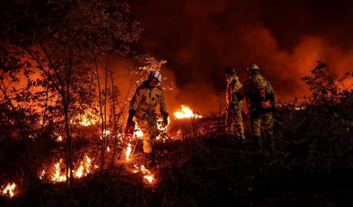 
Brandmän försöker släcka en brand från att sprida sig i Louchats i södra Frankrike den 17 juli 2022. Foto: Thibaud Moritz/AFP via Getty Images                                            