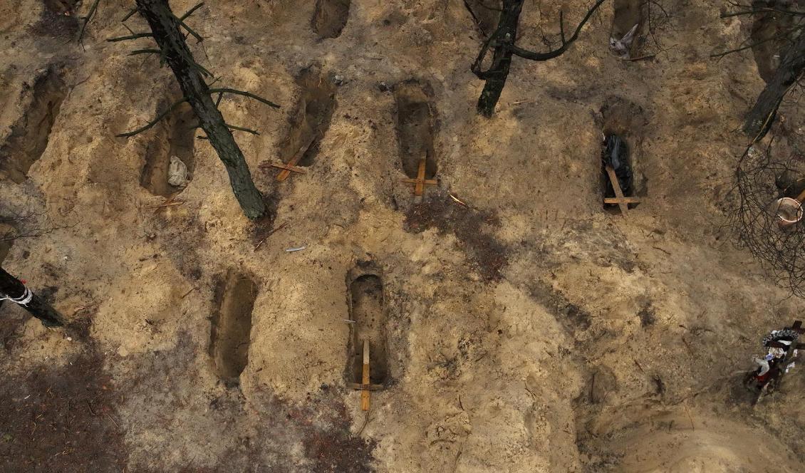 Ett flygfoto över massgraven i staden Izium i Ukraina. Enligt ukrainska myndigheter har man hittat kvarlevor efter 447 personer, varav de flesta civila. Foto: Paula Bronstein/Getty Images