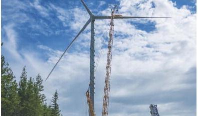 Inget annat energislag dödar fler fåglar, fladdermöss och insekter i Sverige än vindenergin, påpekar debattören. Foto: Bilbo Lantto