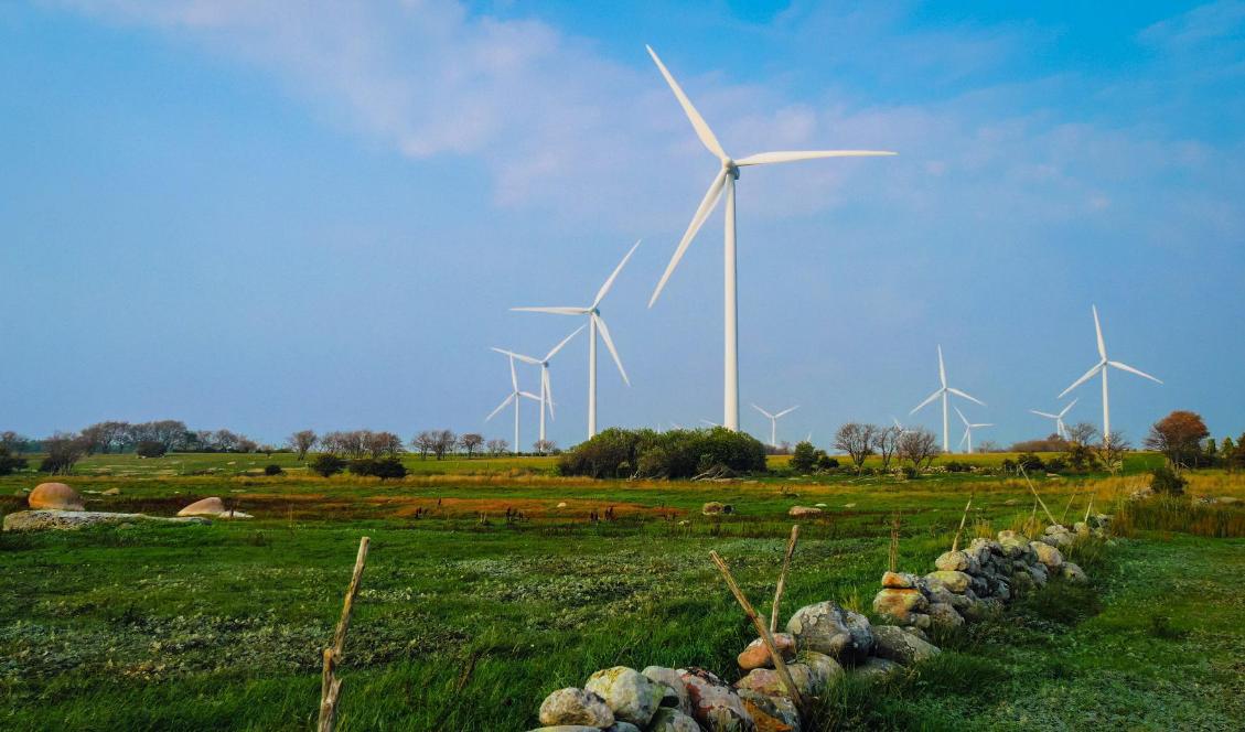 Vindkraftsverk på Gotland. Foto: Bilbo Lantto.