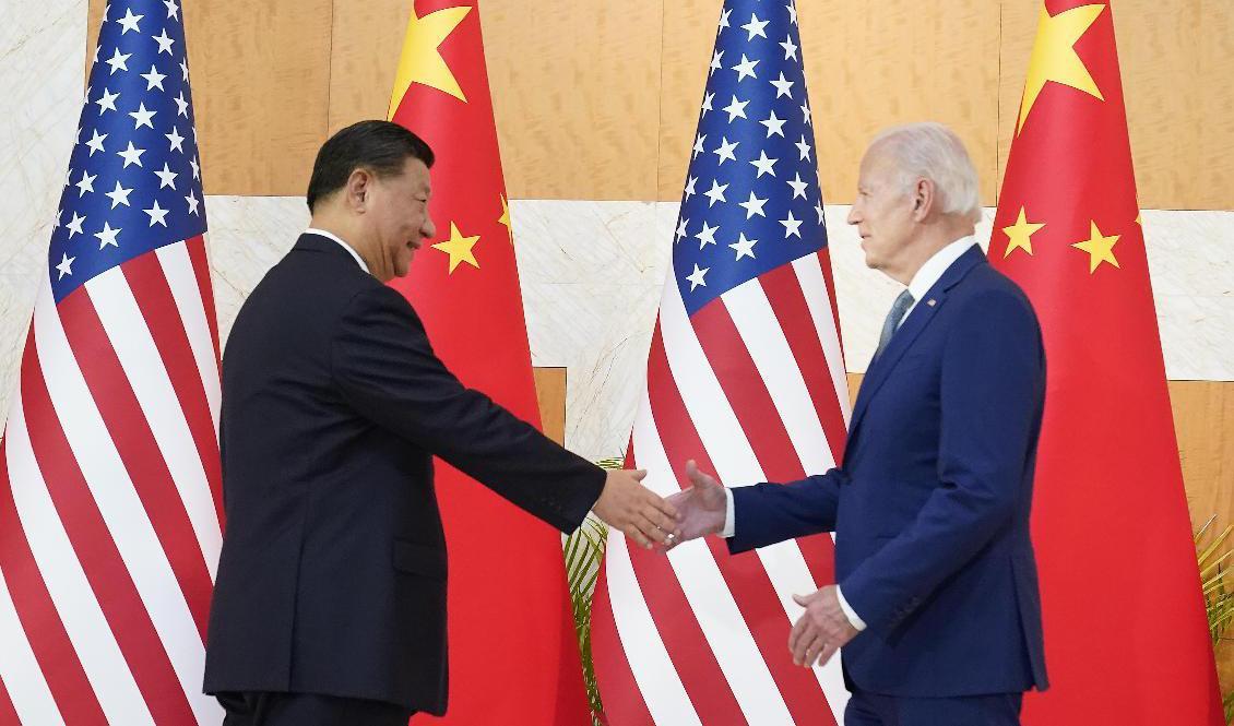 USA:s president Joe Biden träffar Kinas Xi Jinping vid G20-mötet i Nusa Dua på indonesiska Bali. Foto: Alex Brandon/AP/TT