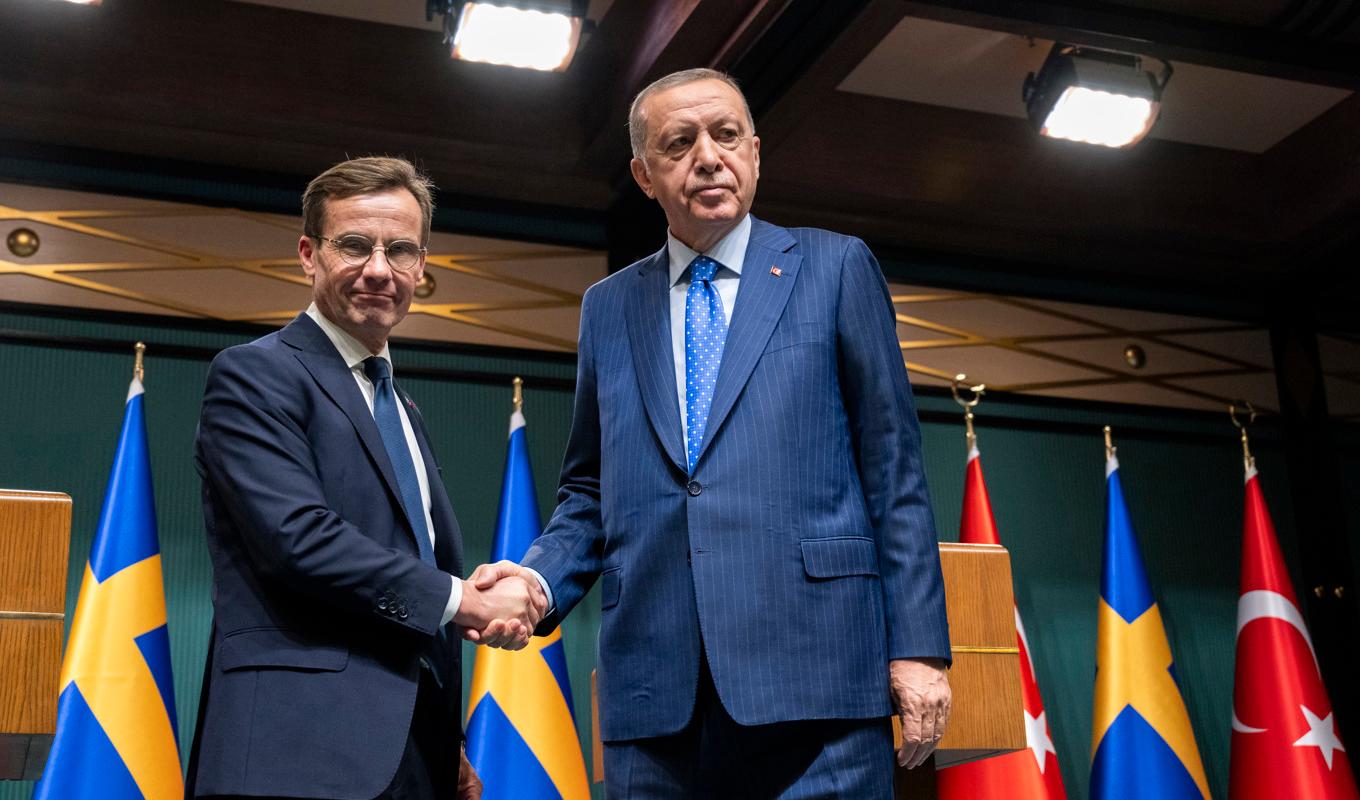 Statsminister Ulf Kristersson (M) och Turkiets president Recep Tayyip Erdogan i Ankara den 8 november. Foto: Henrik Montgomery/TT