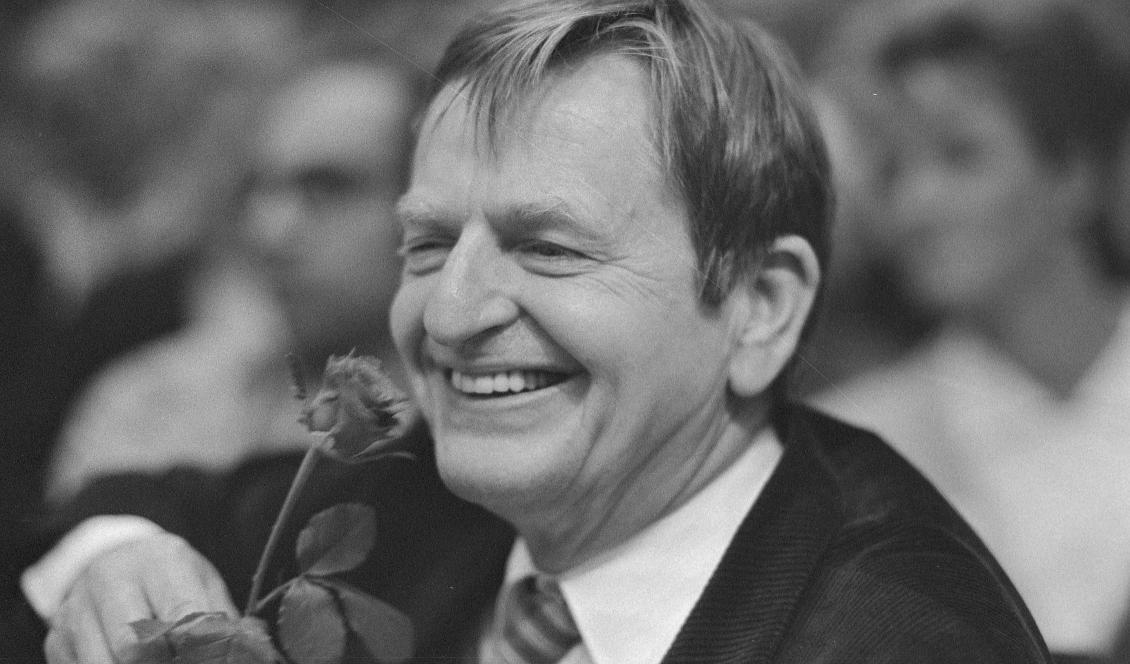 





Olof Palme var ecklesiastik-/utbildningsminister 1967–1969 och statsminister 1969–1976 och 1982–1986. Fotot är taget 1985. Foto: Firma Hagblom-Foto/Public Domain                                                                                                                                                                                                                                                                        