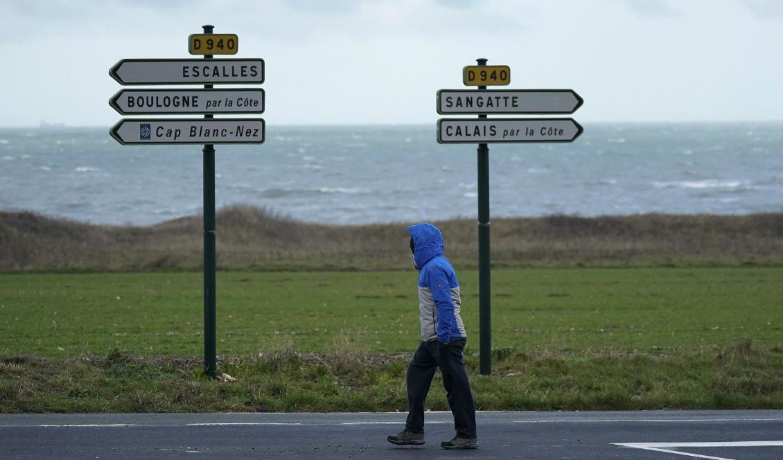 En migrant går på en väg i Calais i Frankrike den 9 januari 2019. Foto: Christopher Furlong/Getty Images