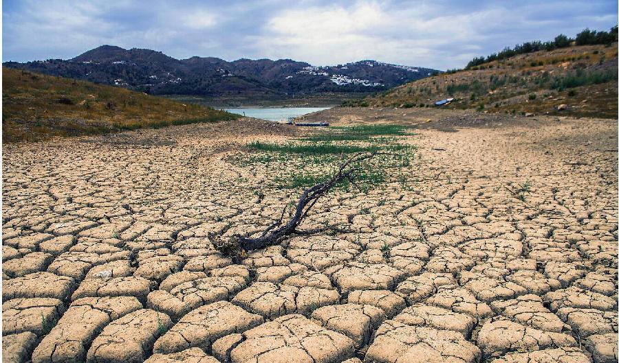 Torr jord längs flodbankerna vid Phoenix Lake i Kalifornien, 2021. Foto: Justin Sullivan/Getty Images