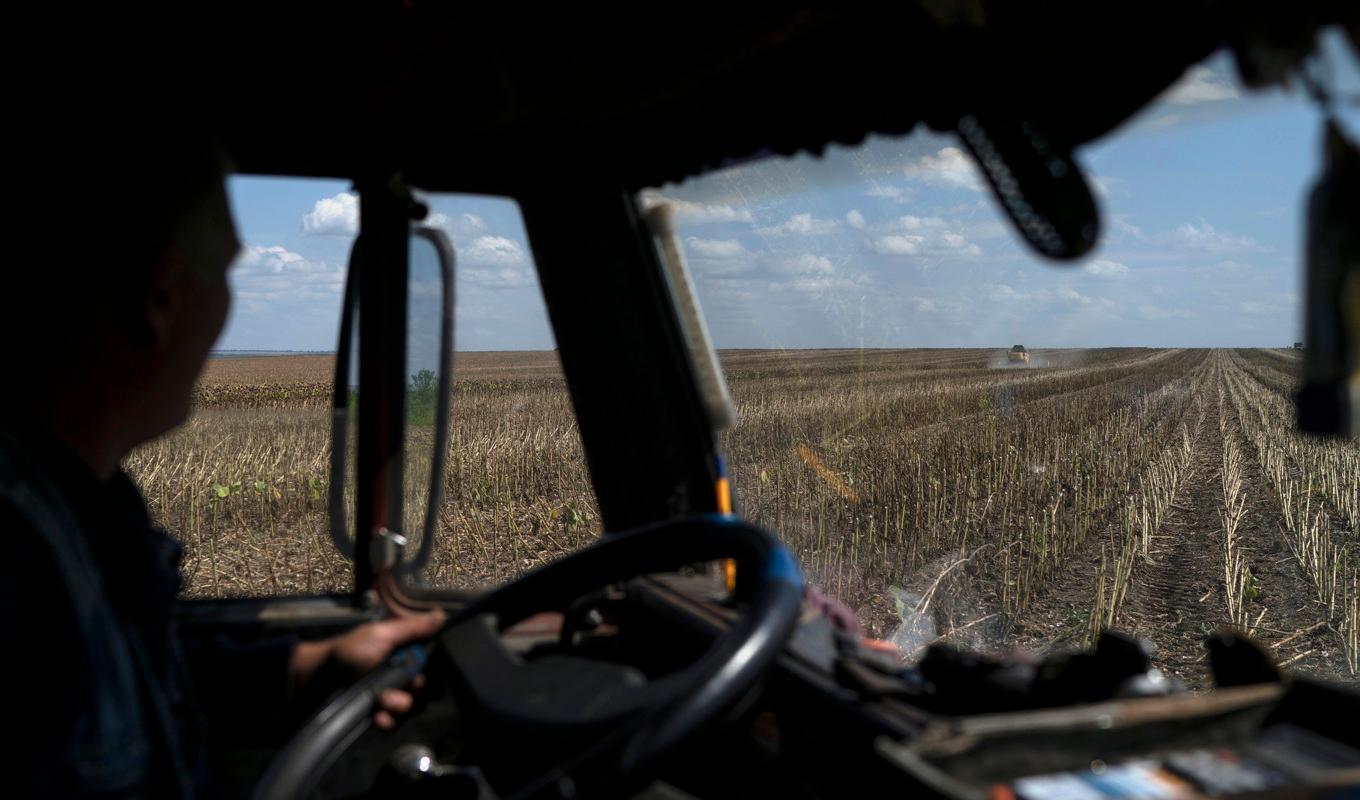 Lånet på två miljarder ska gå till att bygga upp Ukrainas jordbruk och andra viktiga industrier. Arkivbild. Foto: Leo Correa/AP/TT