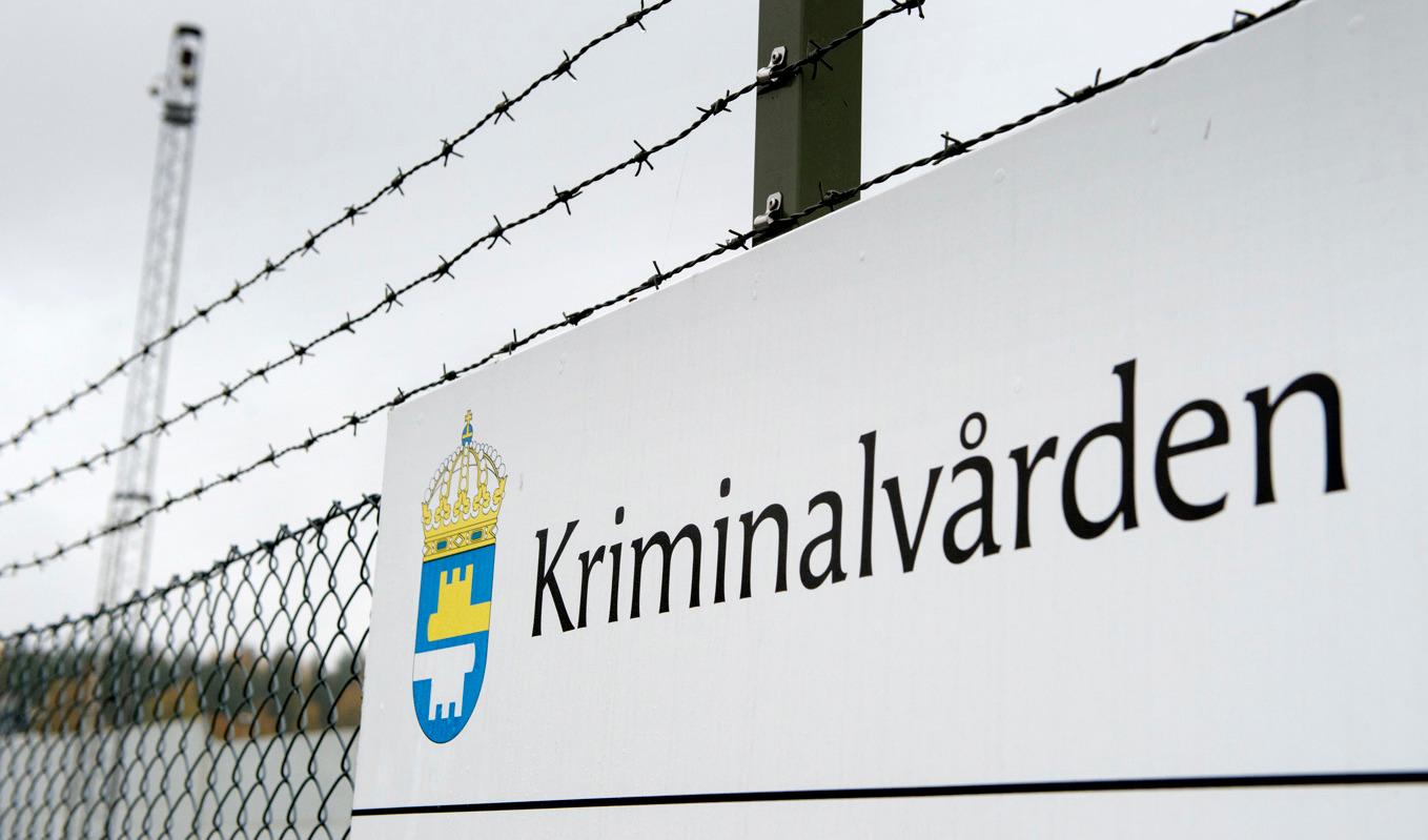 Det har skett en stor ökning av antal intagna på svenska anstalter som har koppling till organiserad brottslighet. Arkivbild. Foto: Jessica Gow/TT