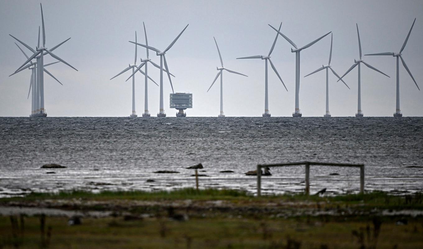 Bra snurr på vindkraften ger elrea. Arkivbild. Foto: Johan Nilsson/TT